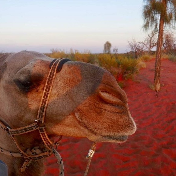 Meet your Posher, Andrew - Picture 1 of 1